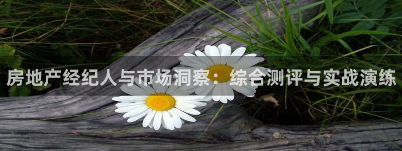 摩登6地7O667：房地产经纪人与市场洞察：综合测评与实战演