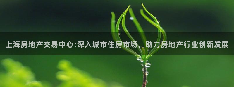 摩登招商臼金手指专业7：上海房地产交易中心:深入城市住房市场