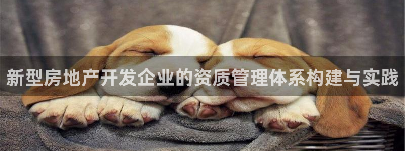 摩登7注册：新型房地产开发企业的资质管理体系构建与实践