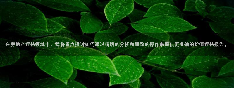 摩登7升：在房地产评估领域中，我将重点探讨如何通过精确的分析