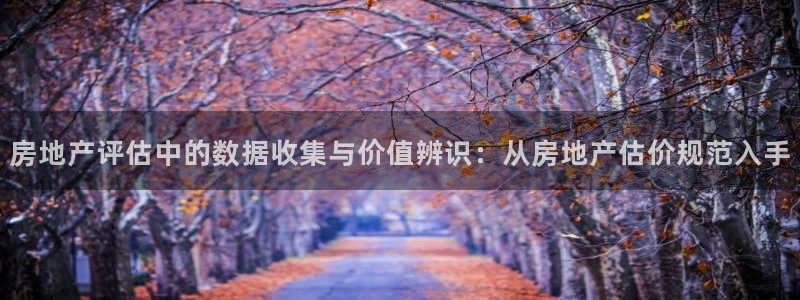 摩登7右：房地产评估中的数据收集与价值辨识：从房地产估价规范