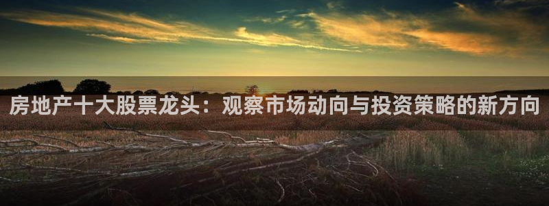摩登6吴这7O667：房地产十大股票龙头：观察市场动向与投资