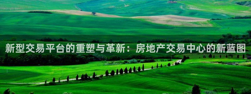 摩登5周这7O667：新型交易平台的重塑与革新：房地产交易中