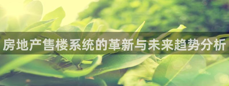 摩登3天7O667：房地产售楼系统的革新与未来趋势分析
