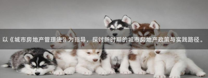摩登7网彩正规吗：以《城市房地产管理法》为指导，探讨新时期的